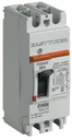 INTERRUPTOR TERMOMAGNETICO DE 2 POLOS 75A MOLDEABLE