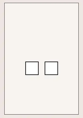 BOTONERA DE 2 BOTONES AMERICANA FLUSH STAINLESS STEEL